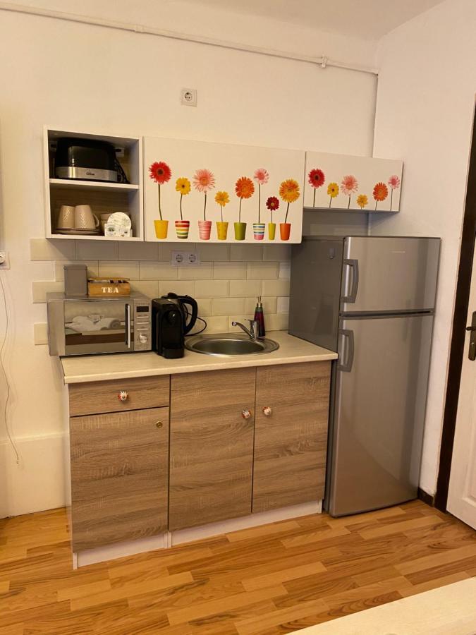 Charming Apartament Sibiu Extérieur photo